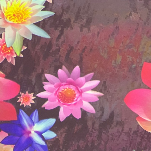 Meet your Posher, Chrisa - Picture 1 of 1